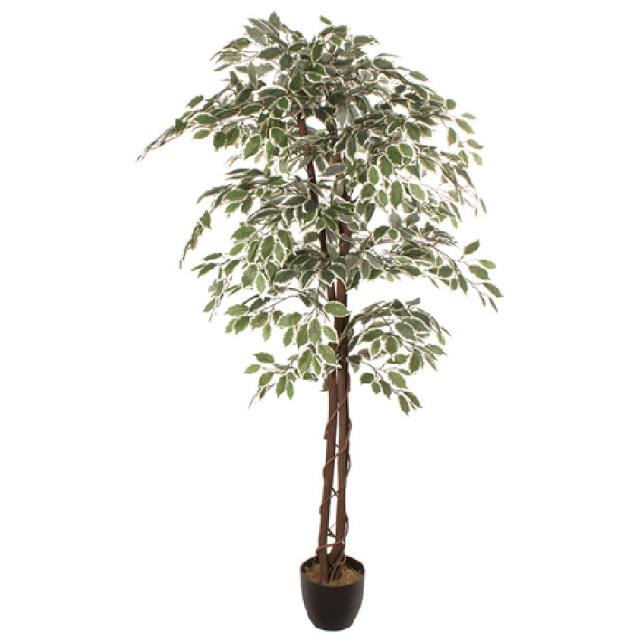Artificial plant FICUS 1.80m
